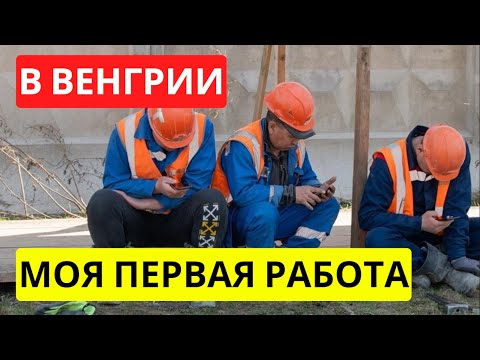 Видео: Моя первая работа в Венгрии 2024 | Работа в Будапеште
