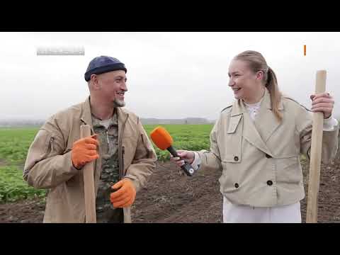 Видео: Как министры высадили лесополосу