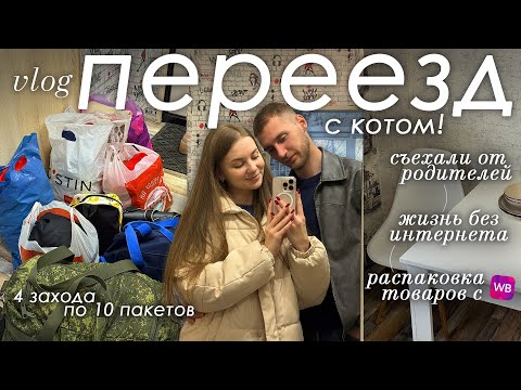 Видео: vlog: долгожданный ПЕРЕЕЗД с котом! | распаковка товаров для дома с WB