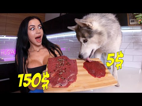 Видео: ХАСКИ ВЫБИРАЕТ СТЕЙК за 5$ или за 150$