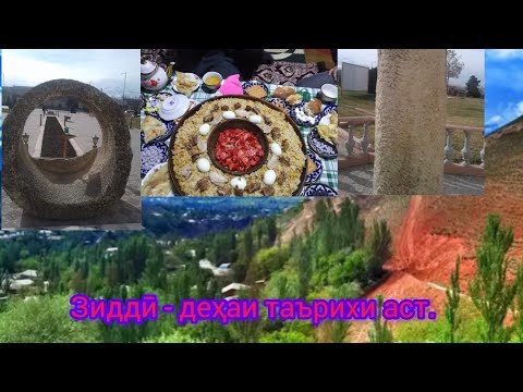 Видео: Зидди - мардуми меҳмондӯст аст.         Зидди - гостеприимный народ.
