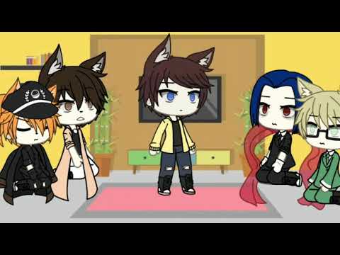 Видео: реакция бродячих псов на лайк 1ч