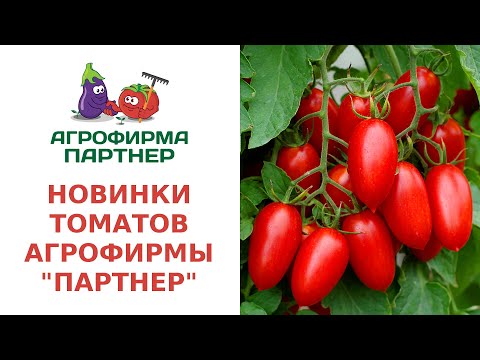 Видео: НОВИНКИ ТОМАТОВ АГРОФИРМЫ "ПАРТНЕР"
