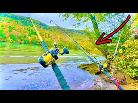 Видео: Рыбалка на берегу в глуши! (Рыбалка на песчаной отмели)