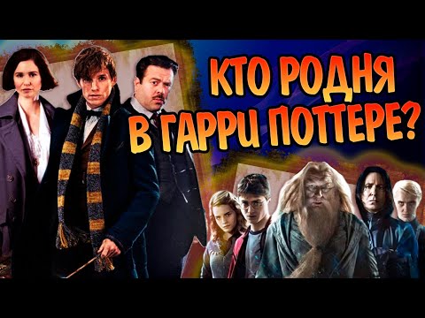 Видео: Какие герои Гарри Поттера и Фантастических Тварей родственники?