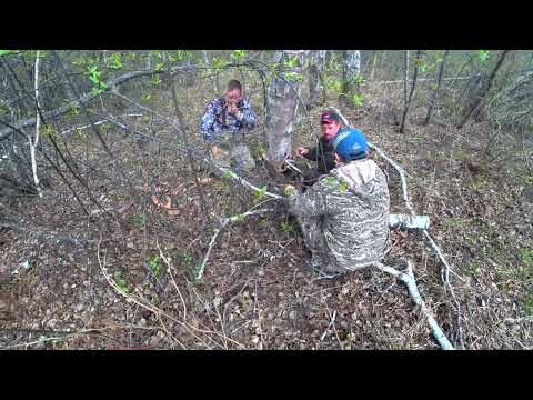 Видео: Хотели домой, но ТАЙГА не отпускает нашего "МАЭСТРО"))