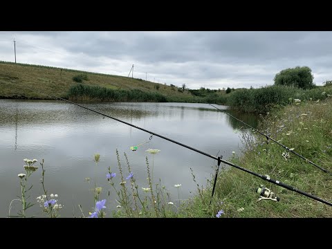 Видео: ТОЛСТОЛОБ КЛЮЕТ ВСЕГДА, КОГДА Я БЕРУ ЖЕНУ НА РЫБАЛКУ.