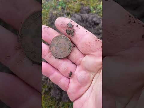 Видео: Nokta Triple Score   Тесты