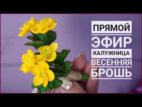 Видео: КАЛУЖНИЦА 🌱 ВЕСЕННИЕ БРОШКИ 🌱 ПРЯМОЙ ЭФИР 🌱 ПОЛИМЕРНАЯ ГЛИНА 🌱 POLYMER CLAY TUTORIAL 🌱 CERNIT