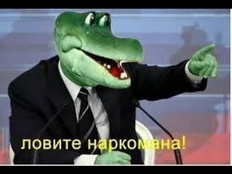 Видео: ЧИТ на ПАРА ПА(МНТ). Часть 1. [Как вас обманывают]