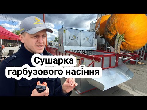 Видео: Сушарка насіння гарбуза Фенікс! 12 000 кг за день! Рівніший шар - якісне просушування👍