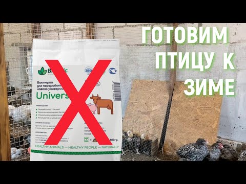 Видео: НИКАКИХ БАКТЕРИЙ ДЛЯ ПОДСТИЛКИ покупать не нужно!!! Готовим птицу к зиме.