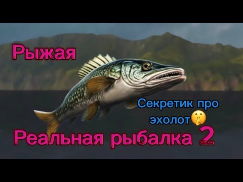Видео: Реальная рыбалка 2. Делюсь секретом.