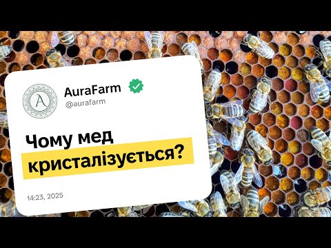 Видео: Чому деякий мед кристалізується, а інший – ні? Відповідь вас здивує