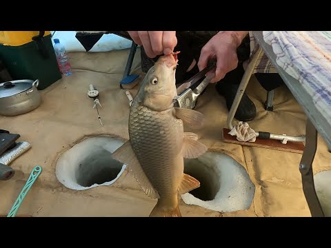 Видео: С КОМФОРТОМ НА ЛЬДУ! ЧАНЫ! Отличный клёв карася и судака! Ещё один рецепт мяса! Как обустроиться?