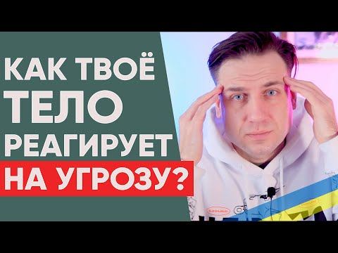 Видео: Реакции тела на абьюз | Психосоматика при стрессе