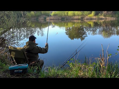 Видео: Це капець! Наш ставок майже висох! Пробую щось піймати. Рибалка на поплавок!