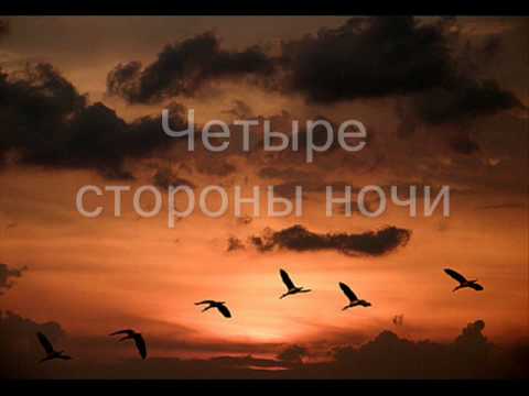 Видео: Разные птицы ( Обреченная стать звездой )