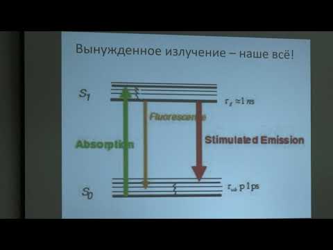 Видео: Нечипуренко Д. Ю. - Экспериментальные методы в биофизике - 13. Микроскопия суперразрешения