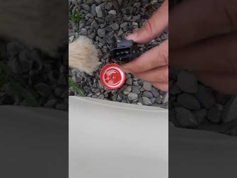Видео: Не работает ЭУР НА ПРИОРЕ 2010 ГОД