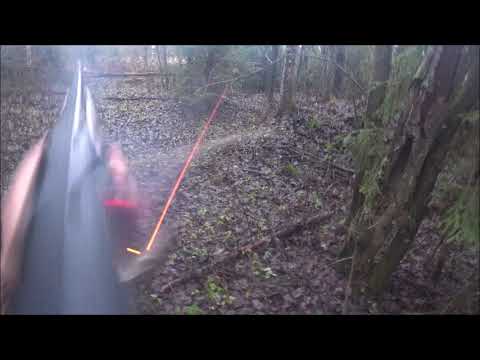 Видео: Охота на зайца с гончими. Промах. Выезд 7.11.2025г.