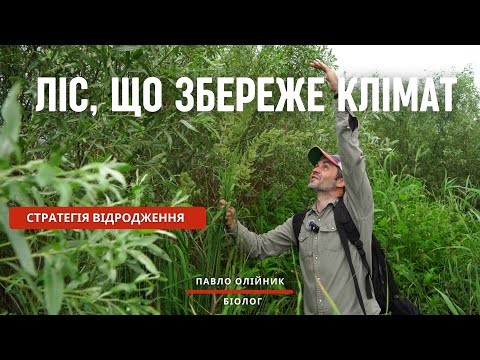 Видео: Ліс, що збереже клімат. Що зараз діється на дні колишнього Каховського водосховища.