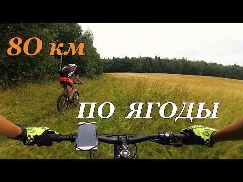 Видео: На велосипеде по ягоды / Покатушка за малиной / 18.07.2018
