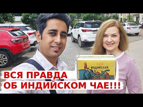 Видео: Вся правда об индийском чае! Что обычно пьют в Индии!