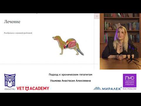 Видео: Подход к хроническим гепатитам