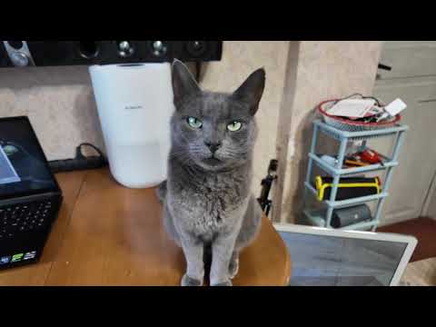 Видео: Очиститель воздуха Xiaomi Smart Air Purifier 4 и 4 Compact