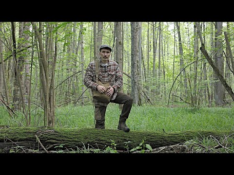 Видео: В лесу с минимальным снаряжением!