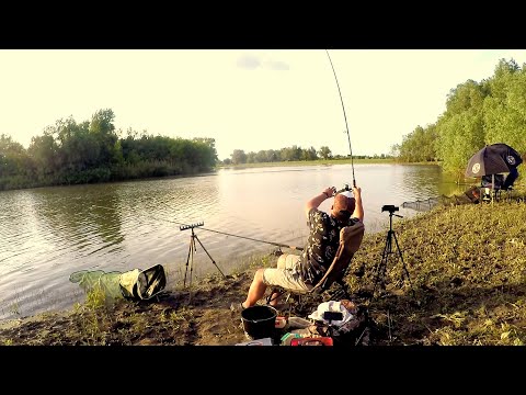 Видео: САЗАНЫ РВУТ СНАСТИ ,ГОТОВИМ МЯСО В КАЗАНЕ ,НОЧЬ НА РЕКЕ #рыбалка #fishing #ловлялеща