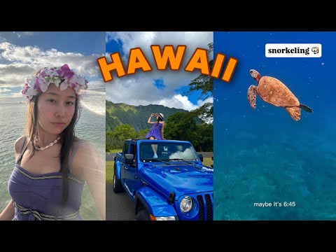 Видео: Гавайдағы 4-күн | Дельфиндермен снорклинг |Ho‘omaluhia Botanical Garden|Bayota Temple|ҚАЗАҚША ВЛОГ🇰🇿