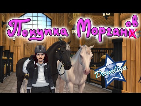Видео: Покупаем Морганов |Star Stable Online|