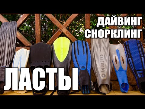 Видео: Выбор ласт для снорклинга и дайвинга