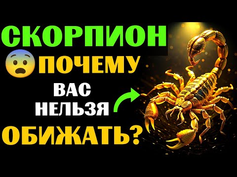 Видео: 🔴25 причин ПОЧЕМУ НЕЛЬЗЯ обижать 🦂СКОРПИОНА. 😨ЧТО БУДЕТ❓