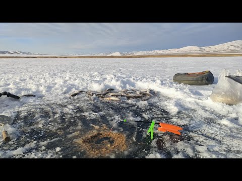 Видео: ПЕРВАЯ РЫБАЛКА В 2024 году!!! ТАКОГО РЕЗУЛЬТАТА ОТ РЫБАЛКИ Я ДАЖЕ НЕ ОЖИДАЛ