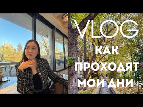 Видео: VLOG / моя повседневная жизнь / и будни и выходные