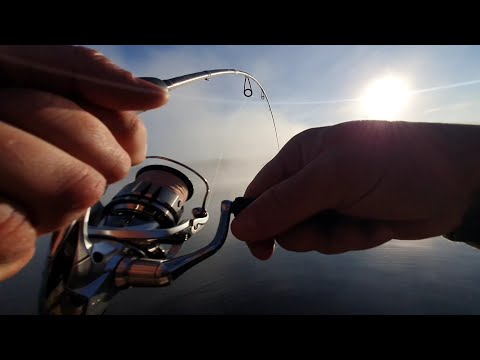 Видео: ЛОВЛЯ ОКУНЯ  НА РАТЛИНЫ ОСЕНЬЮ, ТУМАННОЕ  УТРО НА ОЗЕРЕ, РЫБАЛКА НА СПИНИНГ.