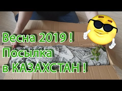 Видео: Вессенняяя посылка от Светланы Татур из Белорусии 2019!