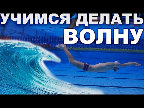 Видео: Техника плавания дельфином | С чего начать учиться плавать баттерфляем?