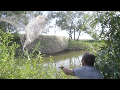 Видео: СУПЕРЗАБРОСЫ И СУПЕРУЛОВЫ НА ЧАСТНОМ ПРУДУ НА КАСТИНГОВУЮ СЕТЬ | Рыбалка от Игоря
