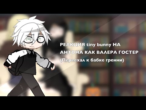 Видео: РЕАКЦИЯ tiny bunny НА АНТОНА КАК ВАЛЕРА ГОСТЕР (Переехал к бабке гренни)