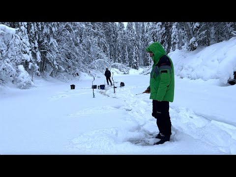 Видео: НАЛОВИЛИ ЗА ТРИ ЧАСА | РЫБАЛКА НА ХАРИУСА В РОЖДЕСТВО | ЗИМНЯЯ РЫБАЛКА | НА РЫБАЛКУ НА ЛЫЖАХ