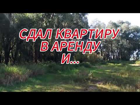 Видео: Сдача квартиры в аренду