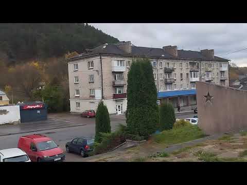 Видео: Сою чи гречку,що вигідніше сіяти?