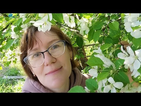 Видео: Фото-папка, покупки @agiart6090 ,Валбериз и диз.посылка. #скрапбукинг