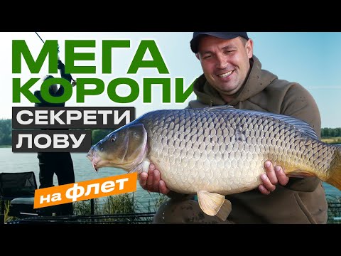 Видео: 🐟 Нові ХИТРОЩІ для ловлі на ФЛЕТ-ФІДЕР: зловив ТРОФЕЙНОГО КОРОПА 10 кг та величезних КАРАСІВ!