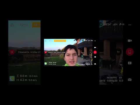 Видео: 1 октября 2025 г.