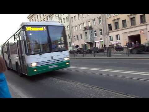 Видео: Автобус Санкт-Петербурга 8-542: НефАЗ-5299CN б.7336 по №141 (26.07.18)